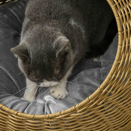 PAWROOM - Rottinkissakori, kissantalo, tyynyllä kissantalo kissoille enintään 4 kg, lemmikkisänky, kissaluola, sisätiloissa, PE-rottinki, Ø50 x 31 cm, vaaleanruskea