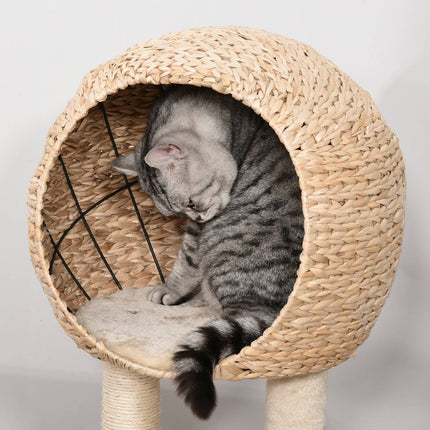 PAWROOM - Kissanpuun Raapiminen Kissanpentujen Huonekalut Cat Cave Ball Lelulla Sisal Pehmeä Pehmo Beige Korkeus 100Cm