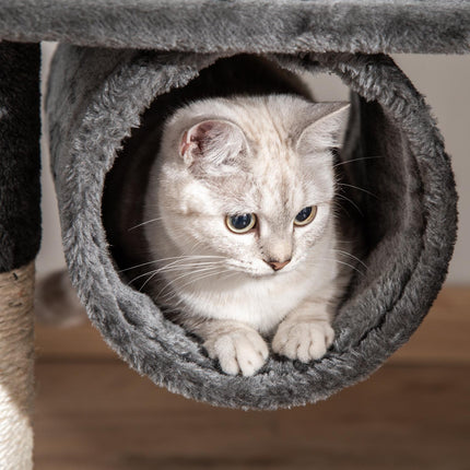 PAWROOM - Kissanpuu Raapimispylväs Kissa Raapimispylväs Kiipeilypuu Kissa Sisal Katto Korkea (Korkeus Säädettävissä 240-260Cm) Tummanharmaa