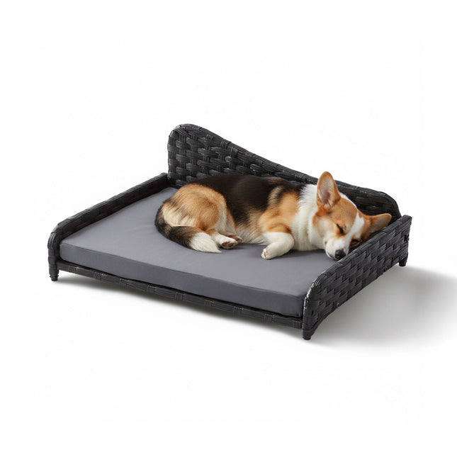 TASSORA - Rottinki-koiranpeti tyynyllä - sisä-/ulkokäyttöön