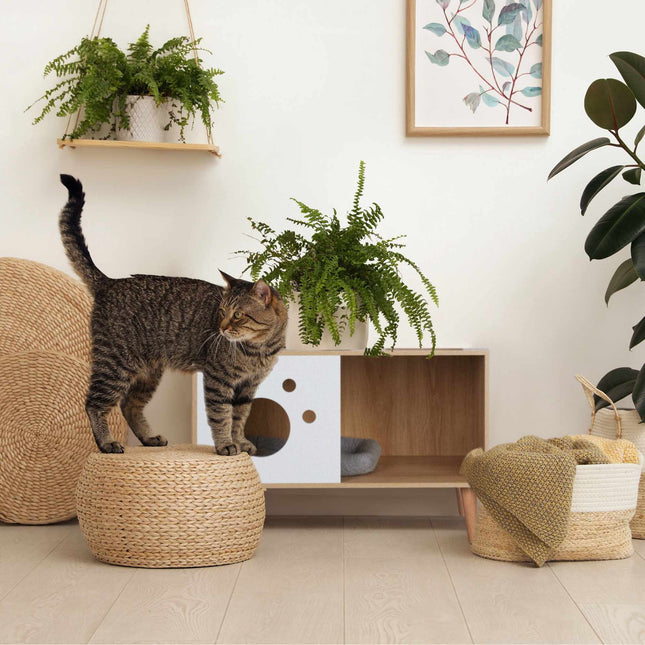 TASSORA - Cat cabinet with entrance