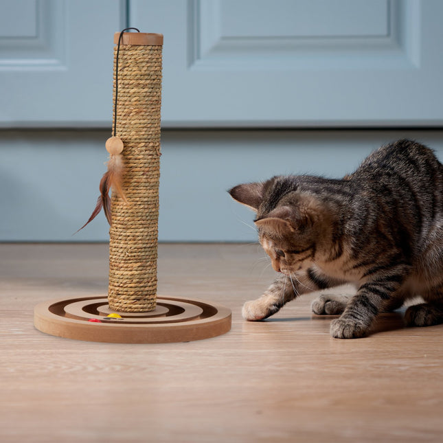 TASSORA - Cat Scratching Post with Toy Rope and Board