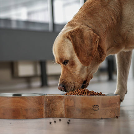 TASSORA - Dog bowl bar with 2 bowls