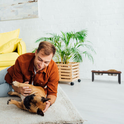 TASSORA - Raised dog bowl made from mango wood