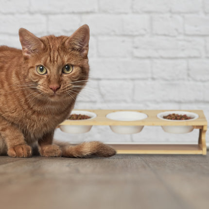 TASSORA - Feeding station for cats with 3 bowls
